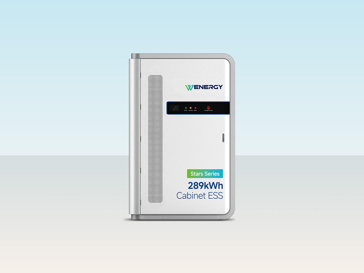 Wenergy Stars CL289Pro commercial battery energy storage cabinet